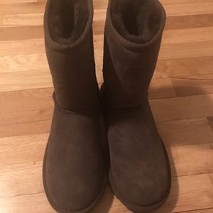 Brand new short chocolate ugg boots!